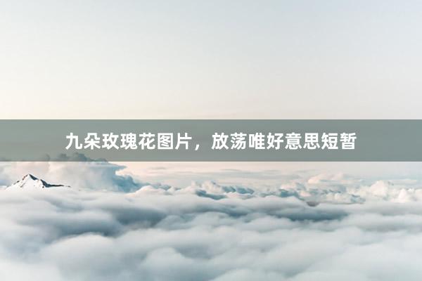 九朵玫瑰花图片，放荡唯好意思短暂