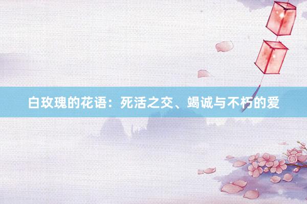 白玫瑰的花语：死活之交、竭诚与不朽的爱